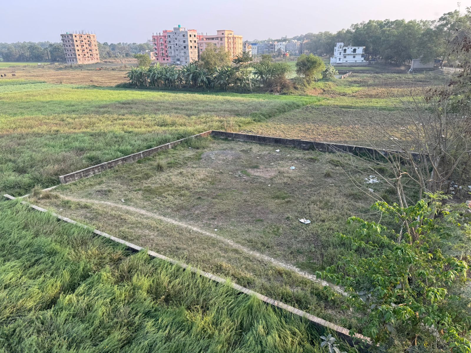 WhatsApp Image 2026-02-09 at 16.16.36